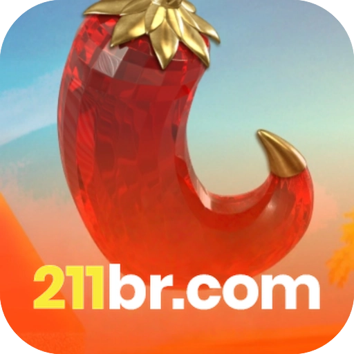 211br